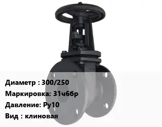 Задвижка чугунная 300/250 31ч6бр Ру10 клиновая